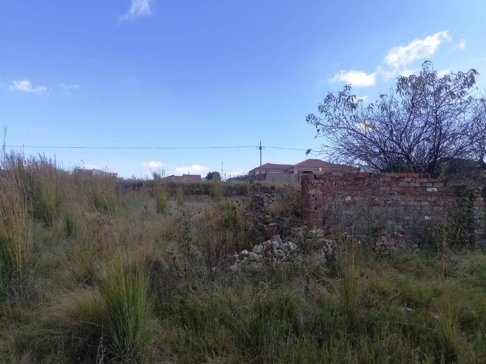 1040 m² Land available in Morelig photo number 4