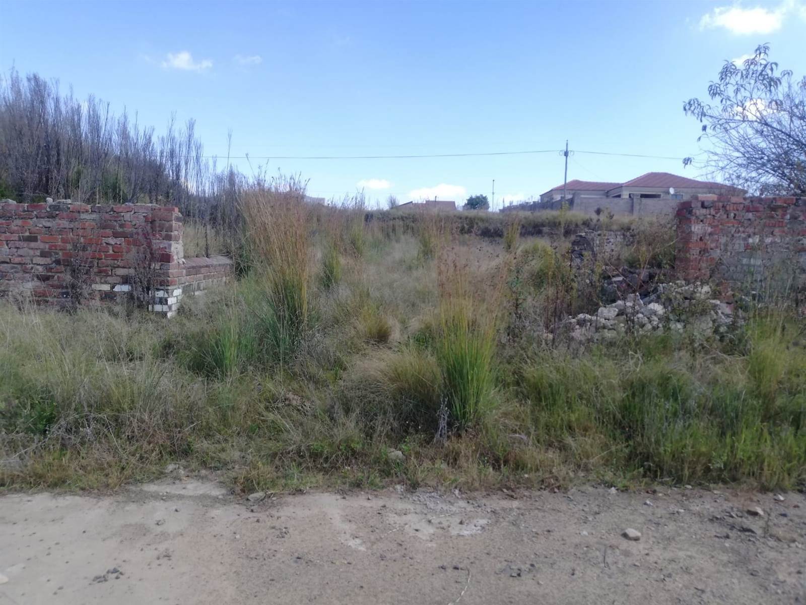1040 m² Land available in Morelig photo number 7