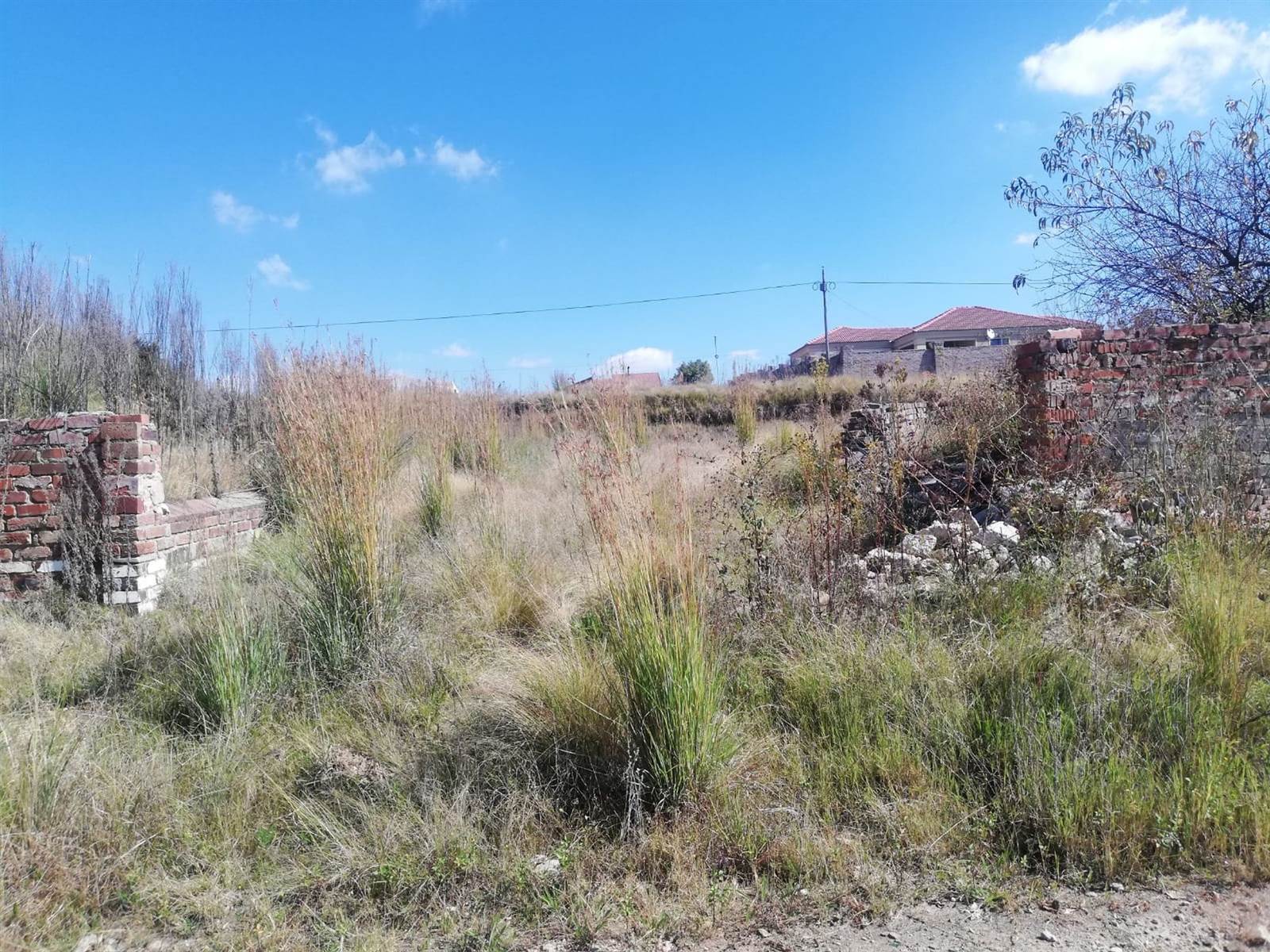 1040 m² Land available in Morelig photo number 3