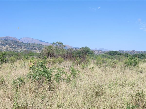 1 ha Land available in Barberton