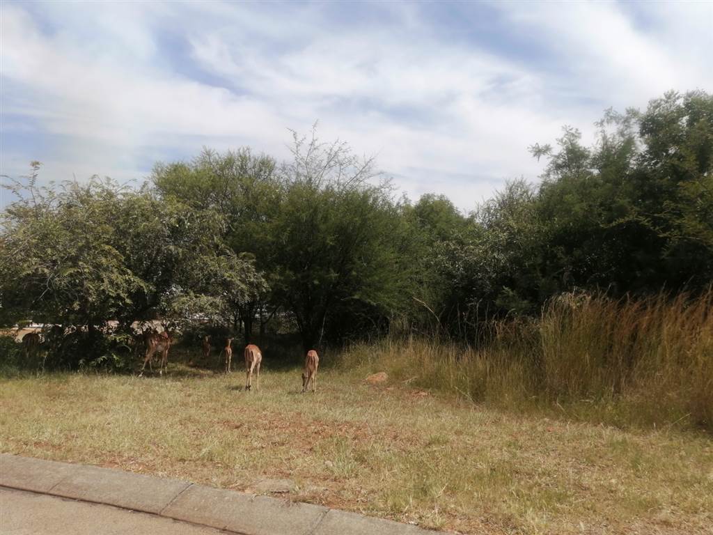 915 m² Land available in Seasons Lifestyle Estate photo number 4