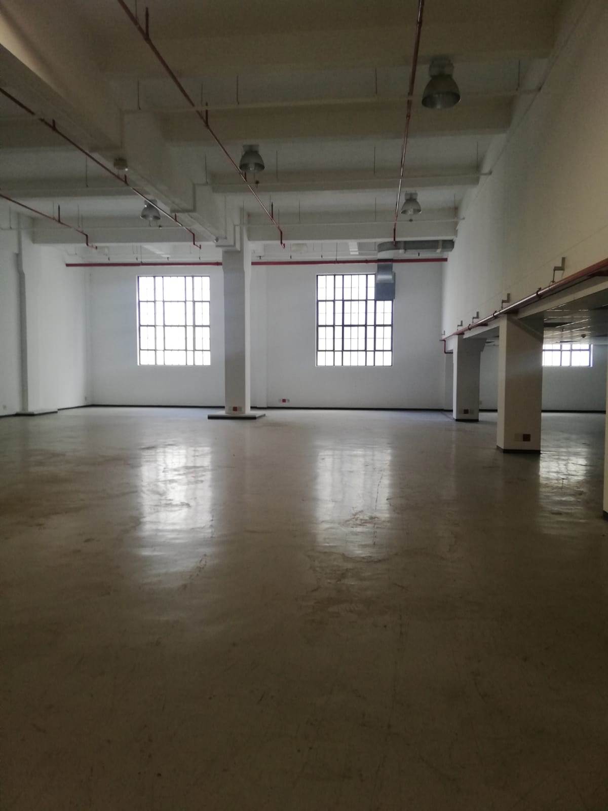 866  m² Office Space in Cape Town City Centre photo number 8