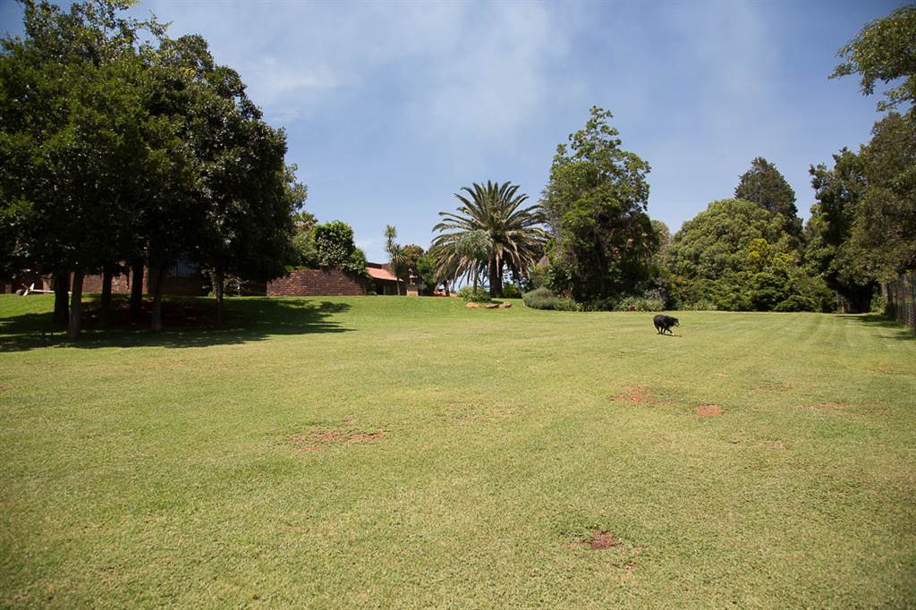 2.4 ha Farm in Golf View photo number 5