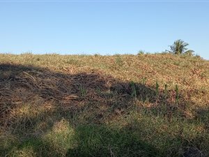 1450 m² Land available in Wild En Weide