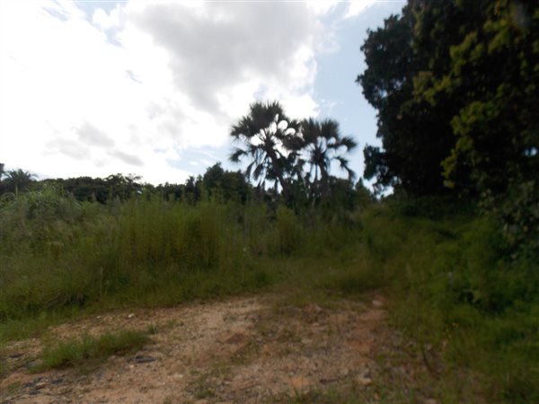 3 879 m² Land