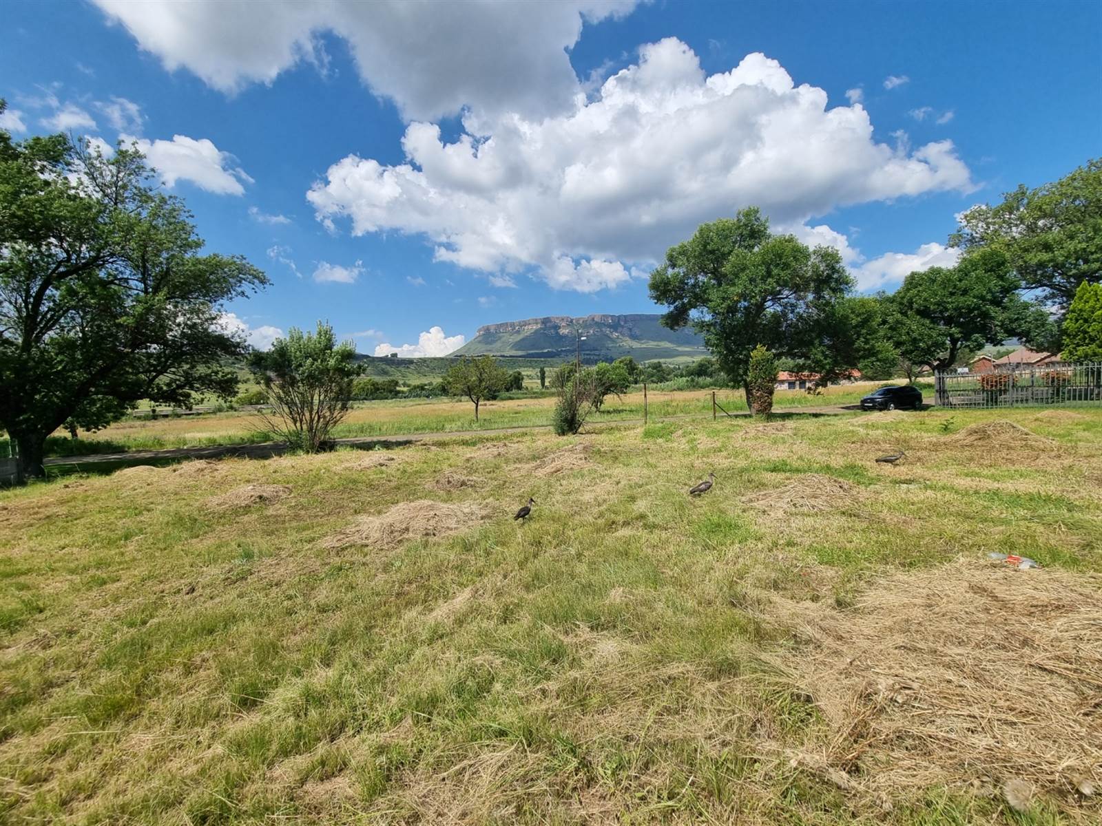 1754 m² Land available in Harrismith photo number 4