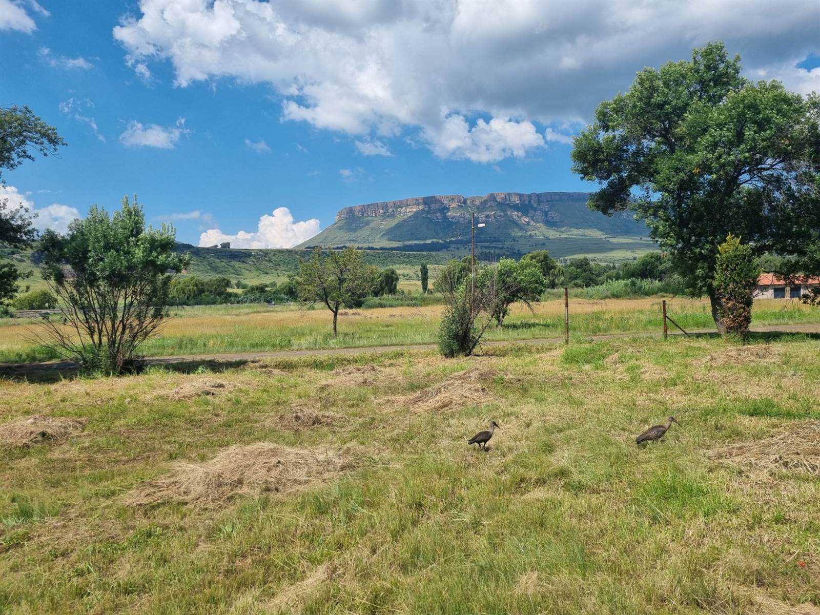 1754 m² Land available in Harrismith photo number 5