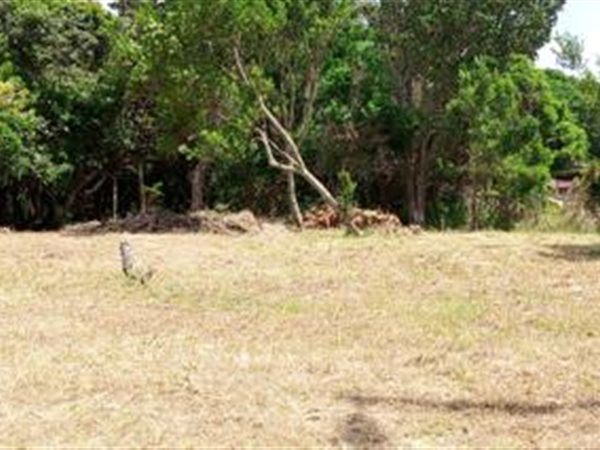 1300 m² Land available in Woodgrange