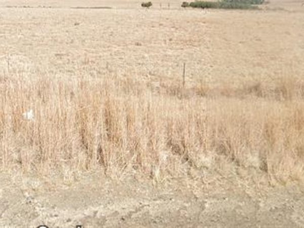 991 m² Land available in Vrede