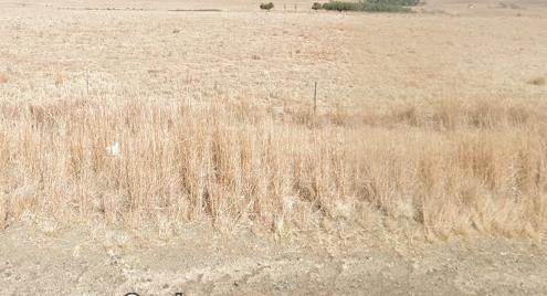 991 m² Land available in Vrede photo number 1