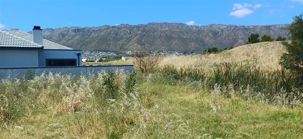 502 m² Land available in Fairview Golf Estate photo number 2
