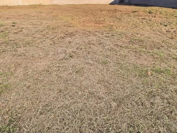 405 m² Land 405 m² Land