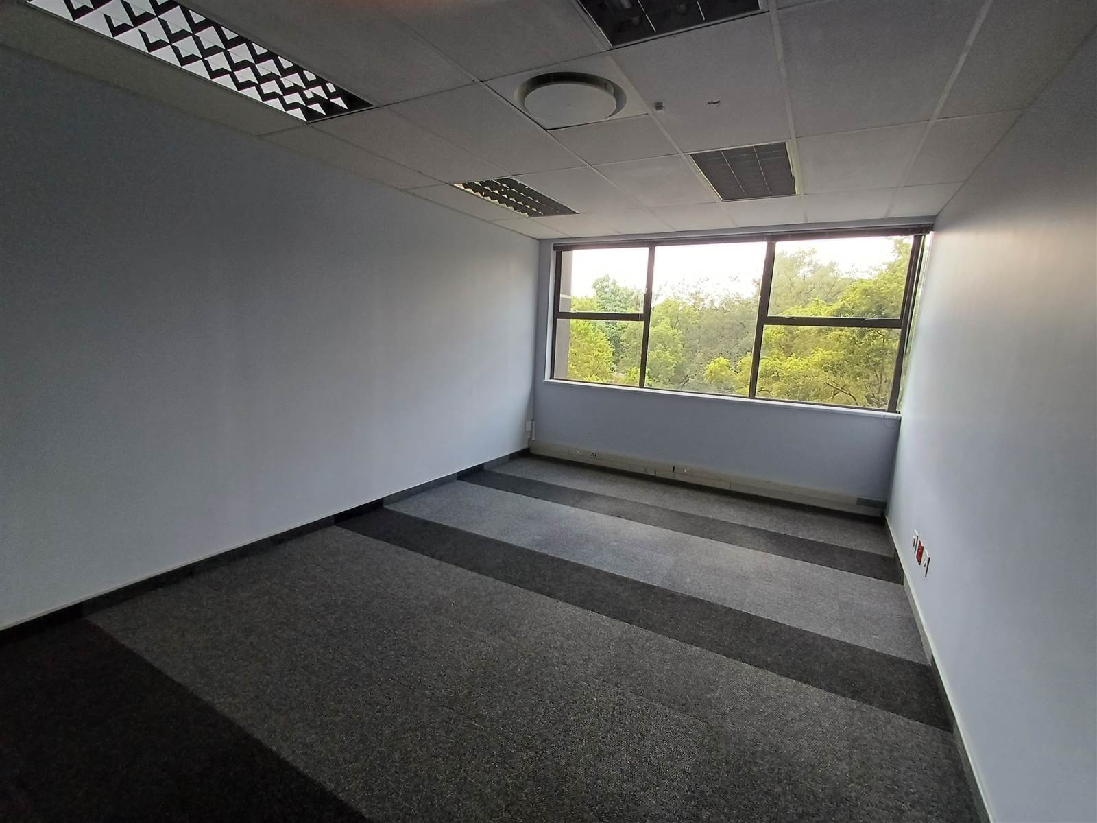 3400  m² Commercial space in Parktown photo number 16