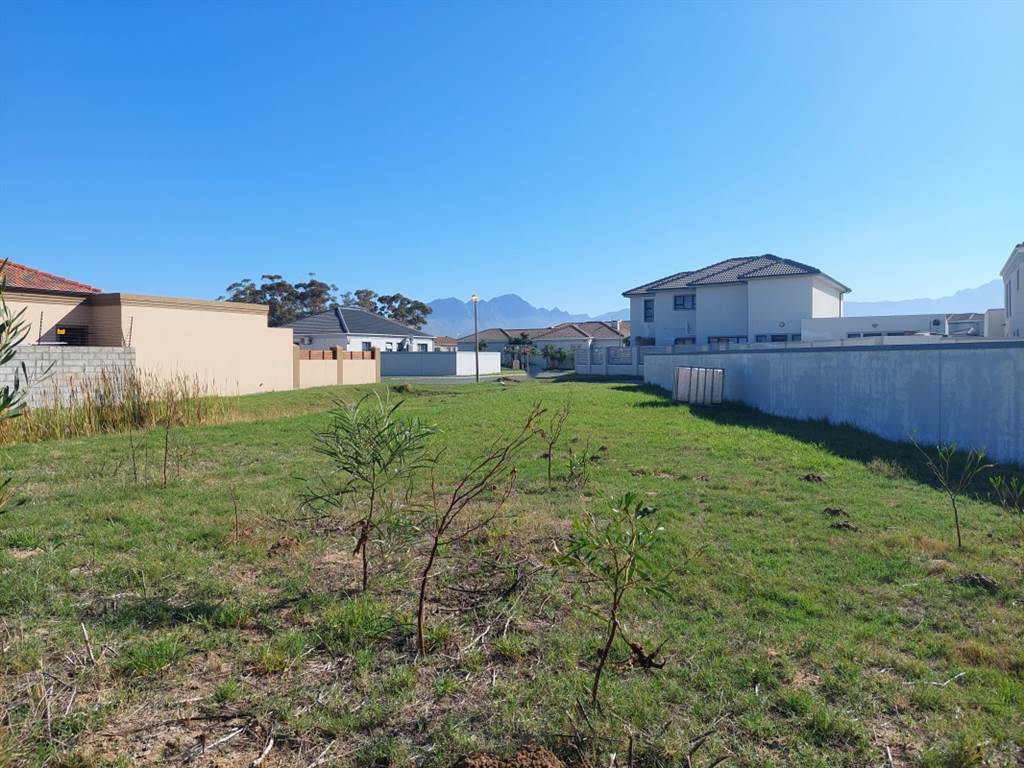 501 m² Land available in Fairview Golf Estate photo number 9