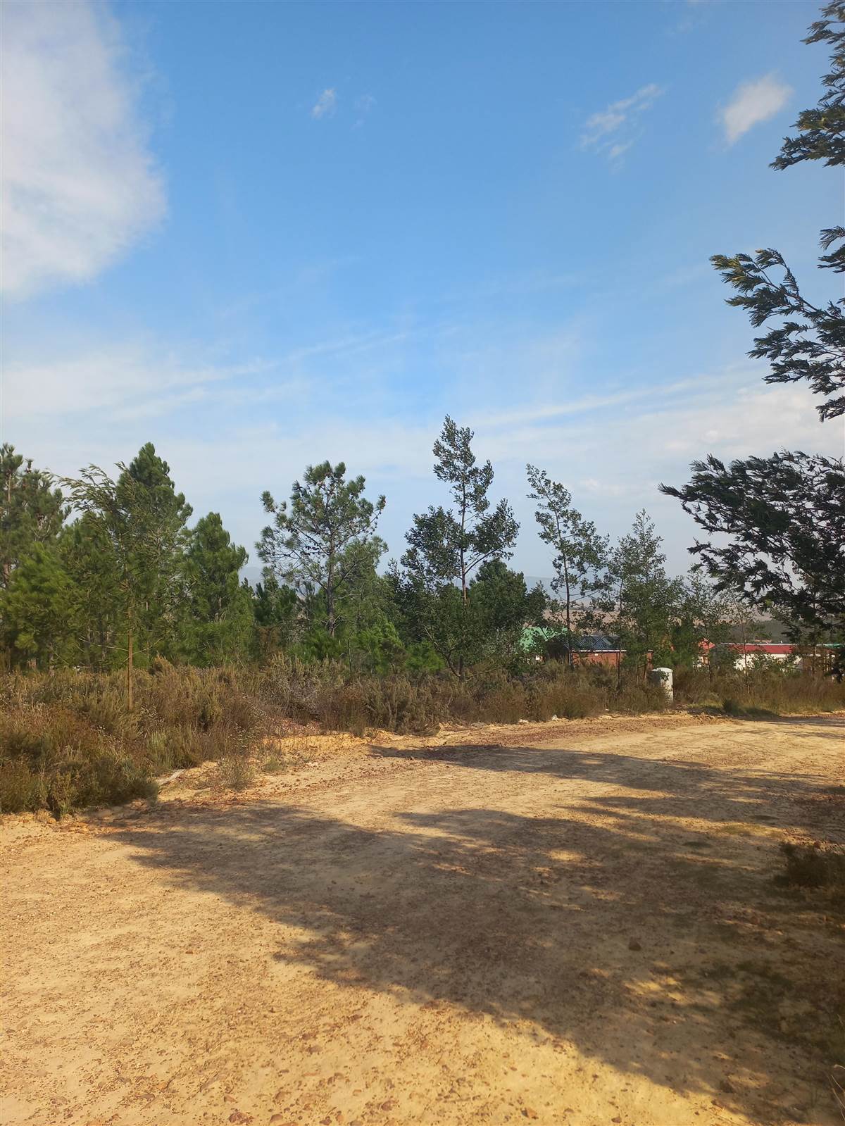 603 m² Land available in Caledon photo number 5