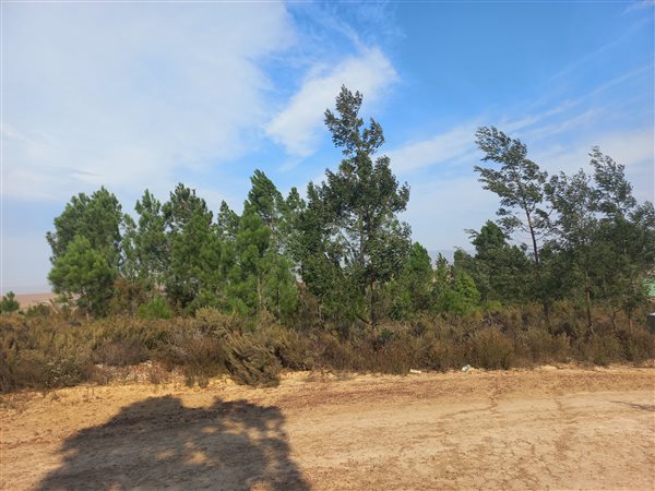 603 m² Land available in Caledon