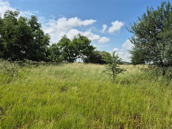 714 m² Land