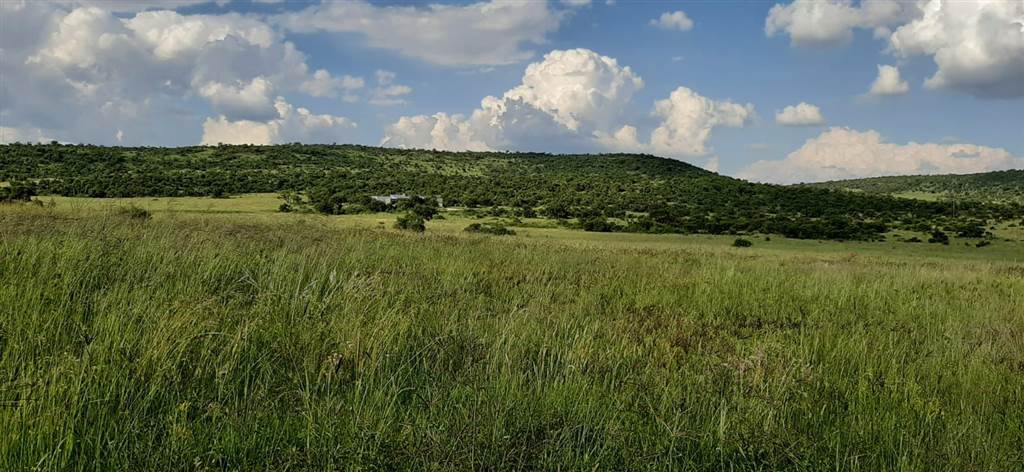2000 m² Land available in Lekwena Wildlife Estate photo number 15