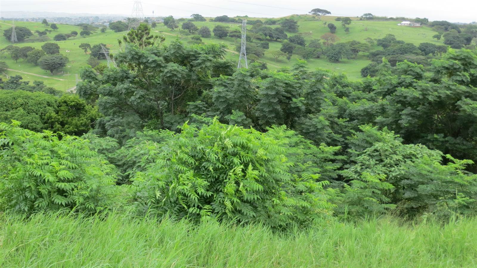 3022 m² Land available in Isipingo Hills photo number 5