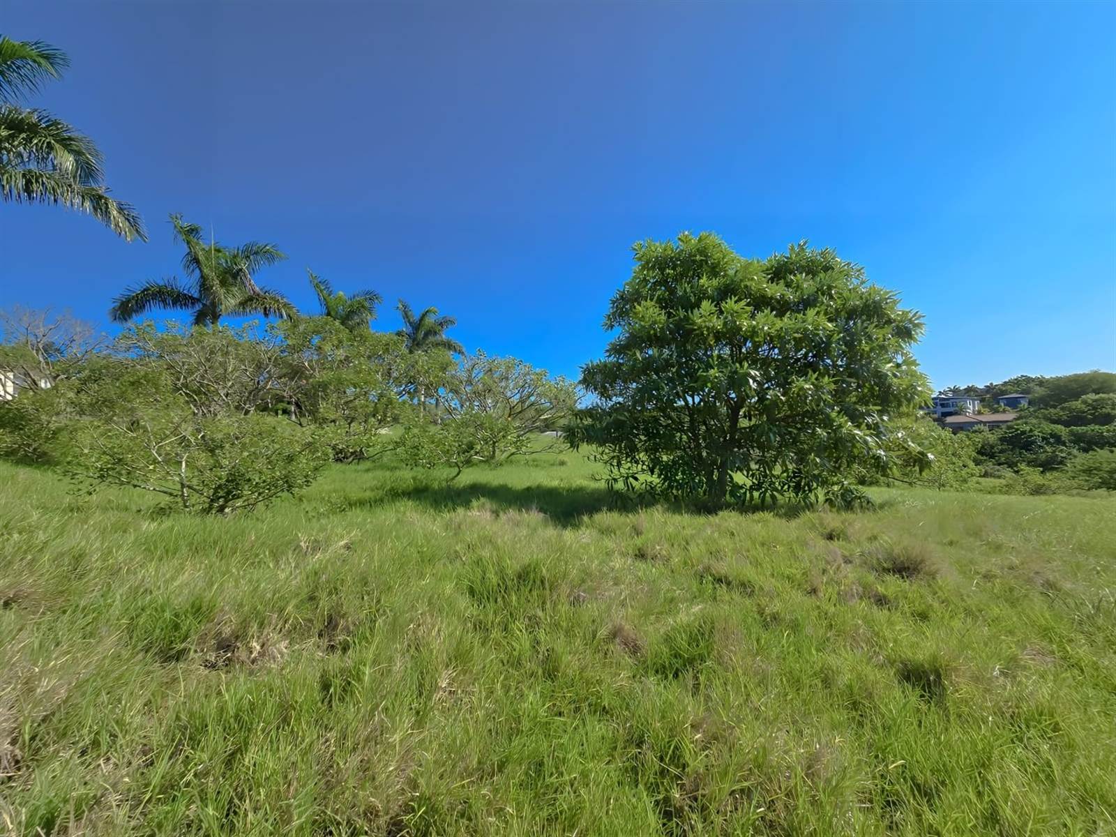 1375 m² Land available in Palm Lakes Estate photo number 2
