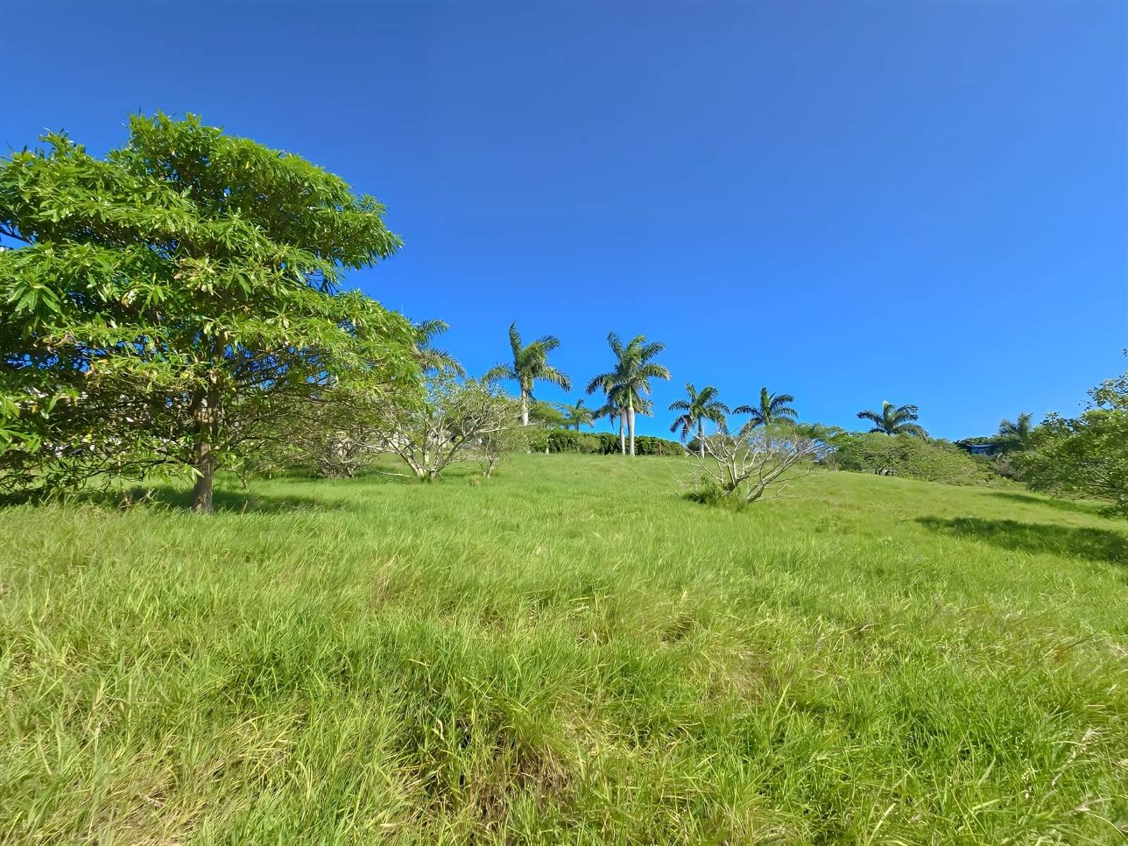 1375 m² Land available in Palm Lakes Estate photo number 1