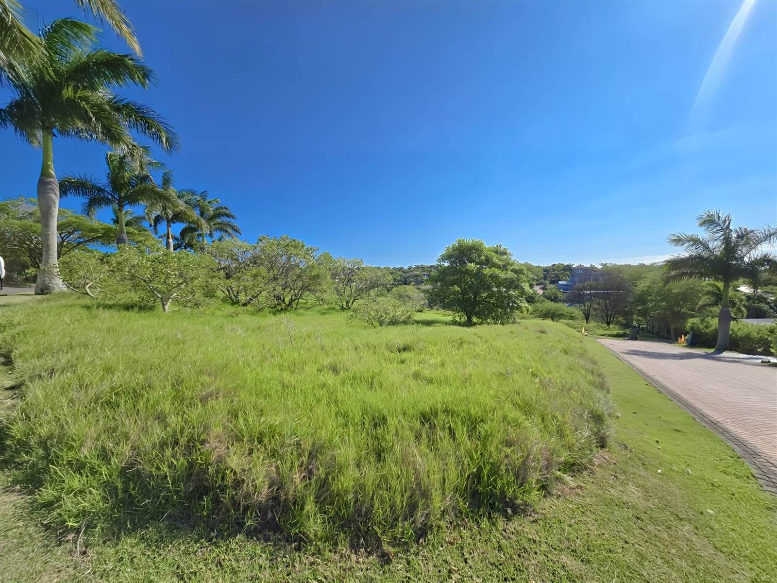 1375 m² Land available in Palm Lakes Estate photo number 5