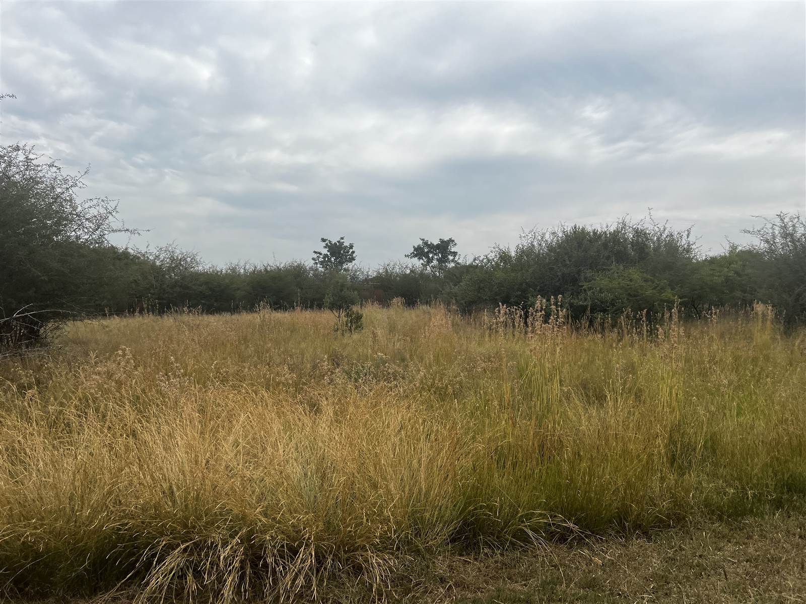 751 m² Land available in Seasons Lifestyle Estate photo number 7