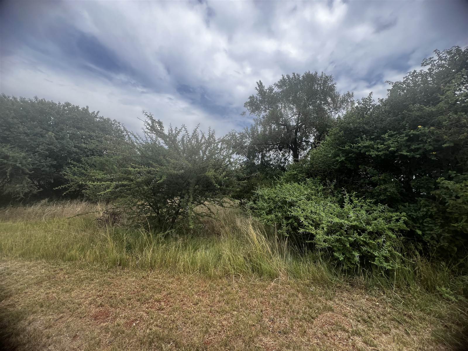 751 m² Land available in Seasons Lifestyle Estate photo number 5