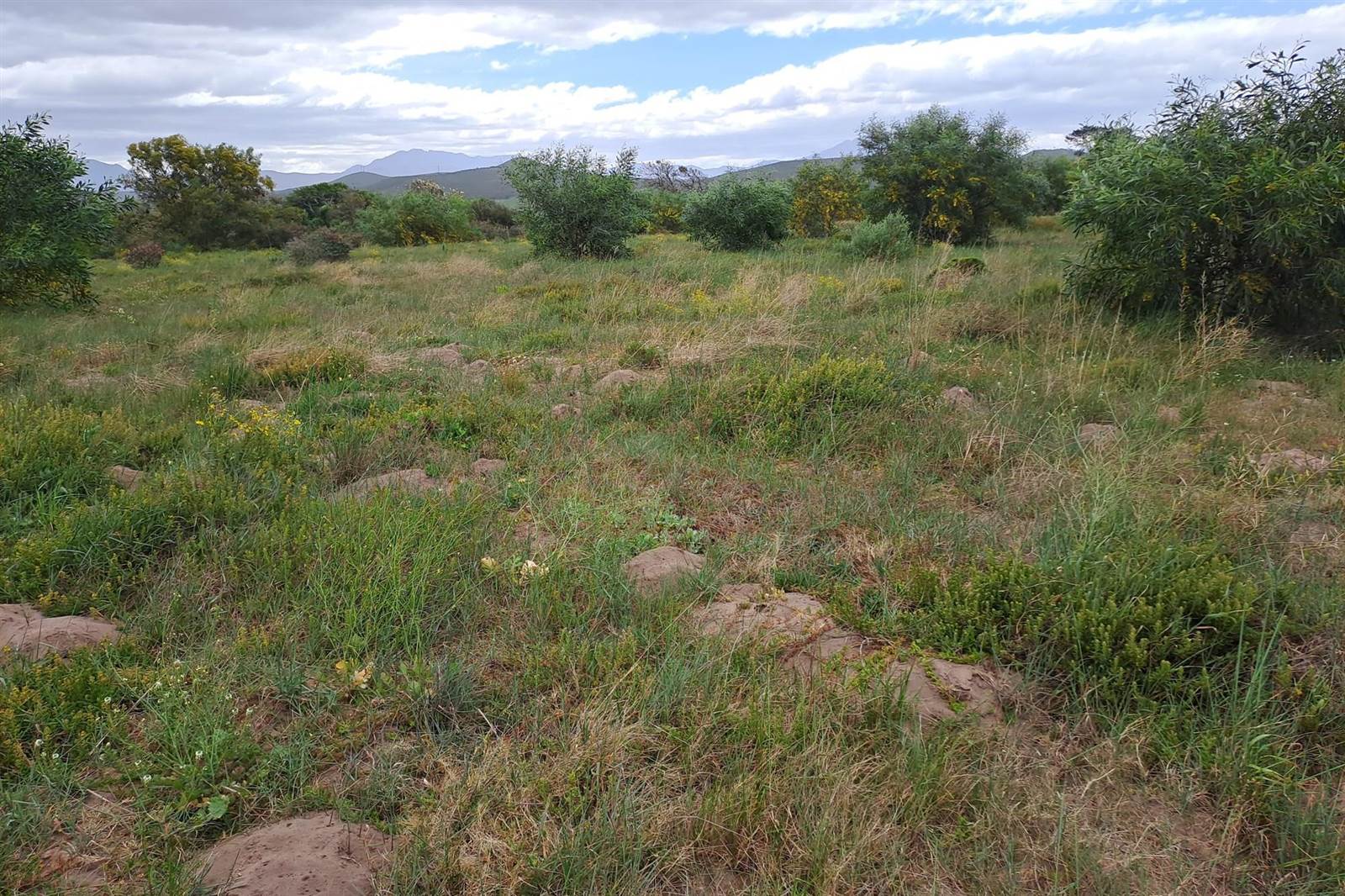 491 m² Land available in Klein Brak River photo number 6