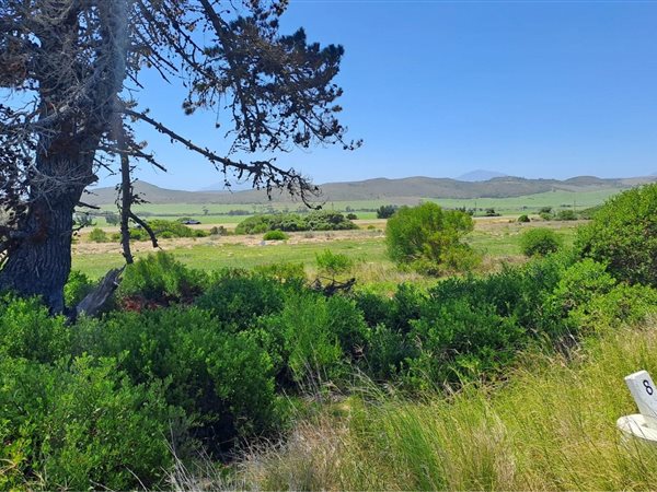 491 m² Land available in Klein Brak River