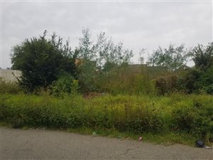 495 m² Land available in Springs Central