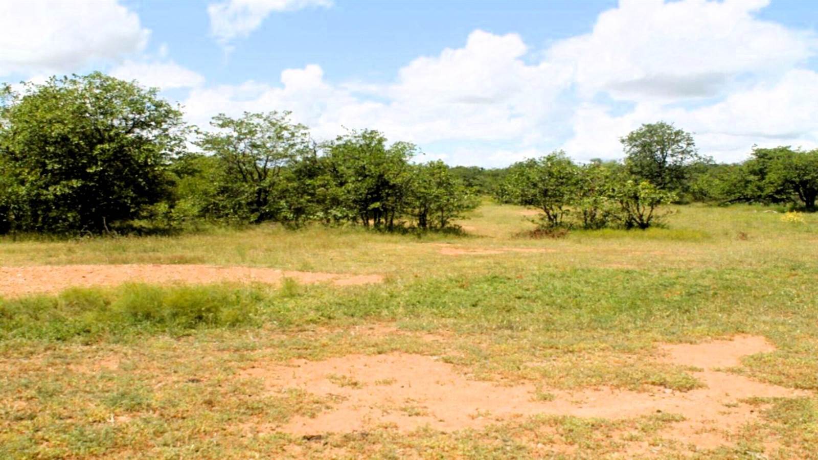 21.3 ha Land available in Phalaborwa photo number 12