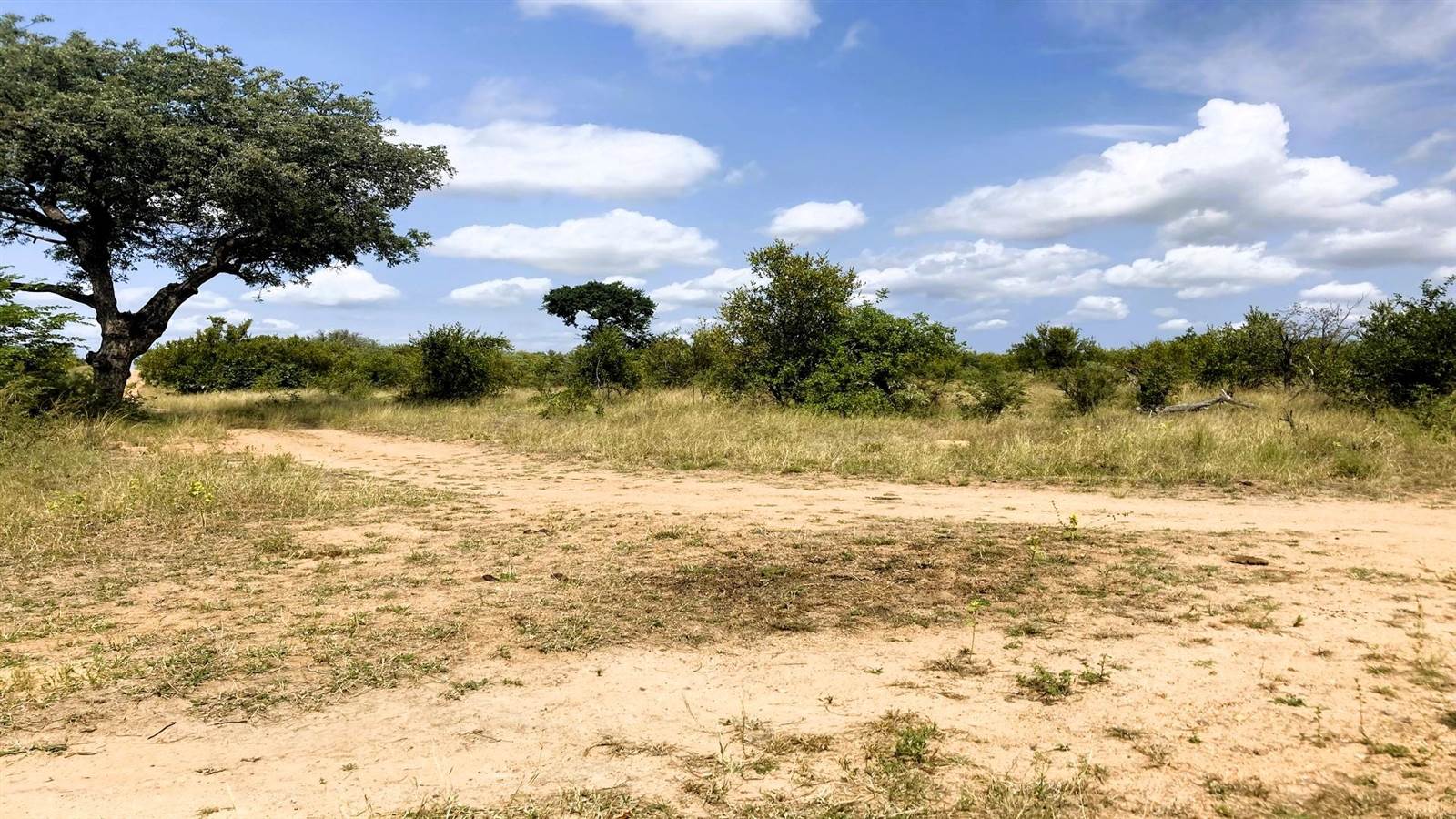 21.3 ha Land available in Phalaborwa photo number 9
