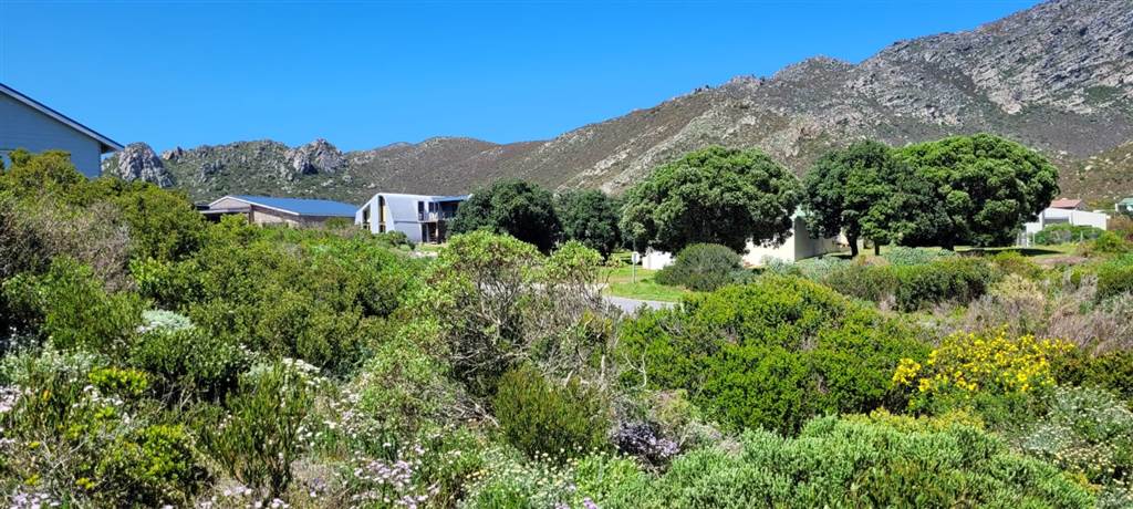 1586 m² Land available in Pringle Bay photo number 5