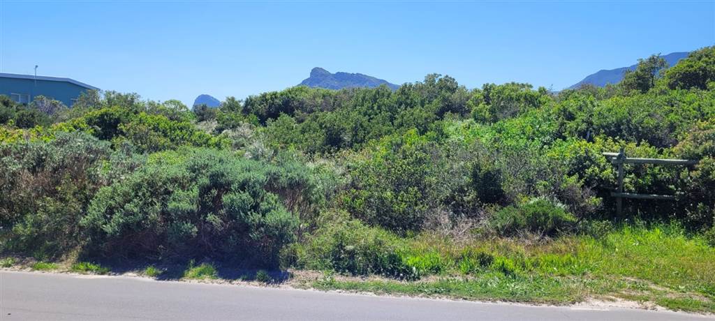 1586 m² Land available in Pringle Bay photo number 11
