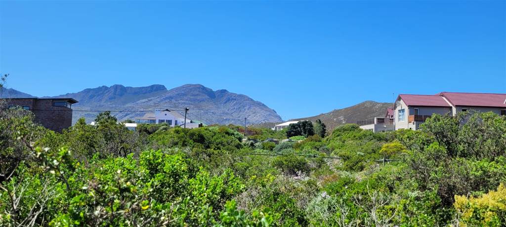 1586 m² Land available in Pringle Bay photo number 7