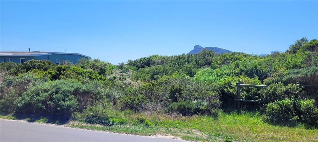 1586 m² Land available in Pringle Bay photo number 4