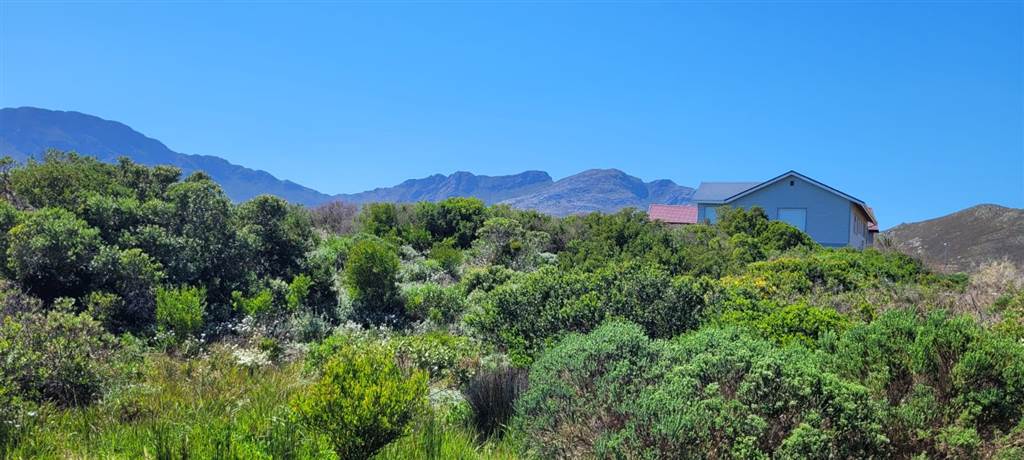 1586 m² Land available in Pringle Bay photo number 2
