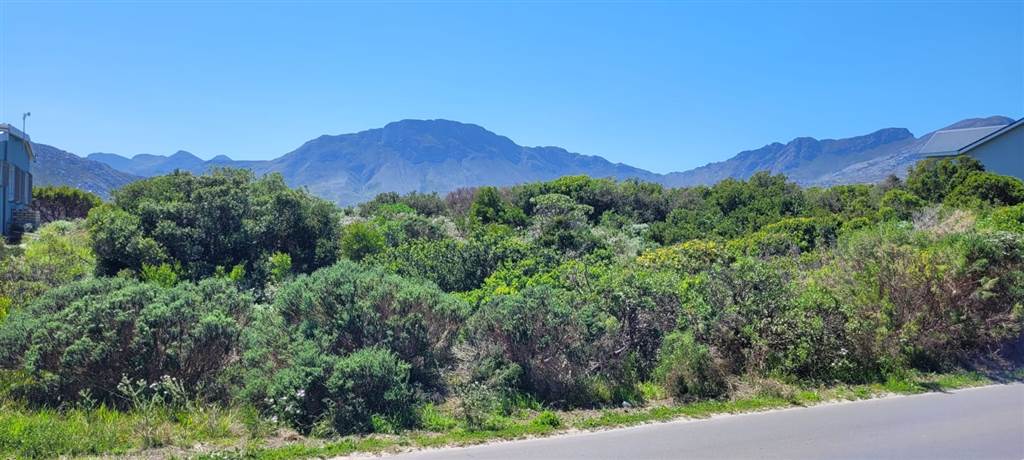 1586 m² Land available in Pringle Bay photo number 3