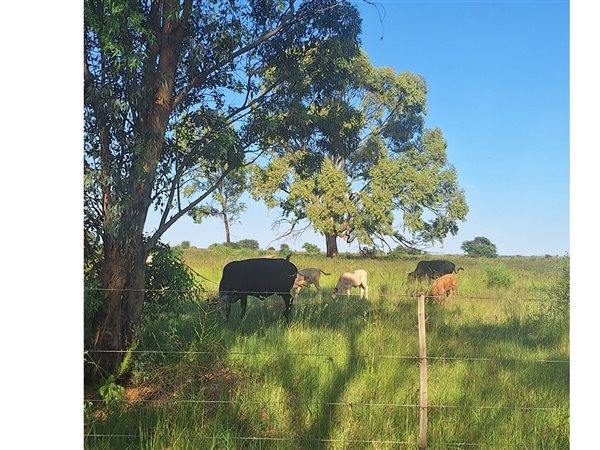 416 ha Farm 416 ha Farm