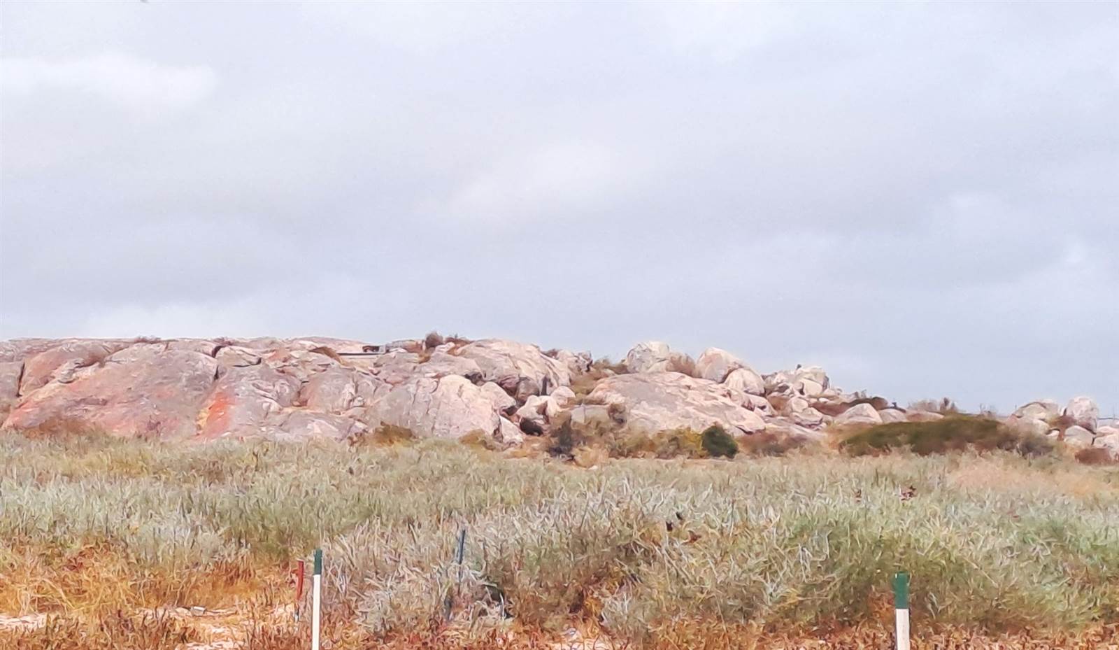 693 m² Land available in Langebaan Country Estate photo number 6