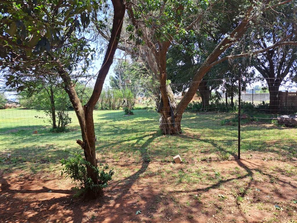6.5 ha Farm in Droogefontein photo number 5