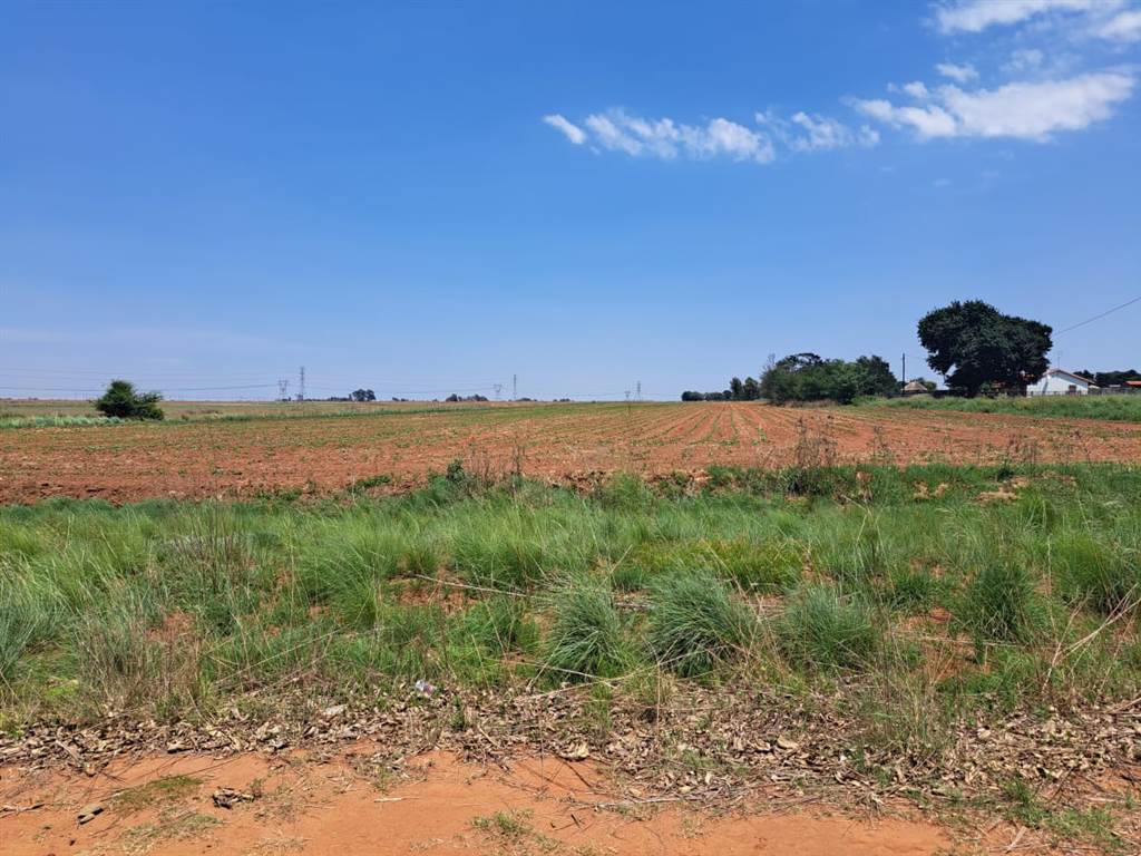 6.5 ha Farm in Droogefontein photo number 29