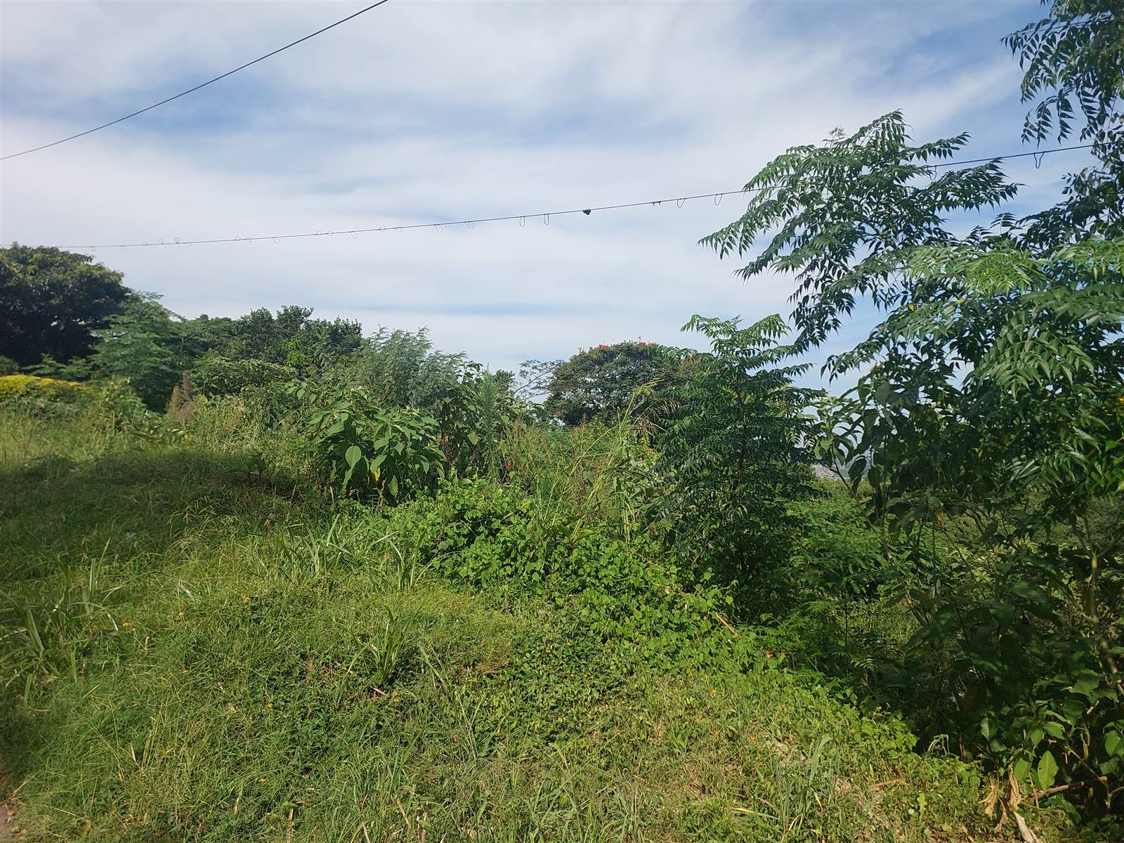 3157 m² Land available in Dawncliffe photo number 6