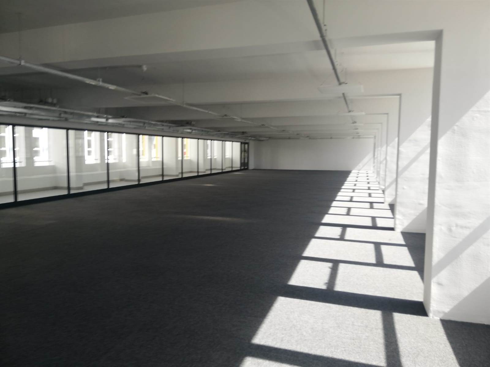 274  m² Office Space in Cape Town City Centre photo number 6