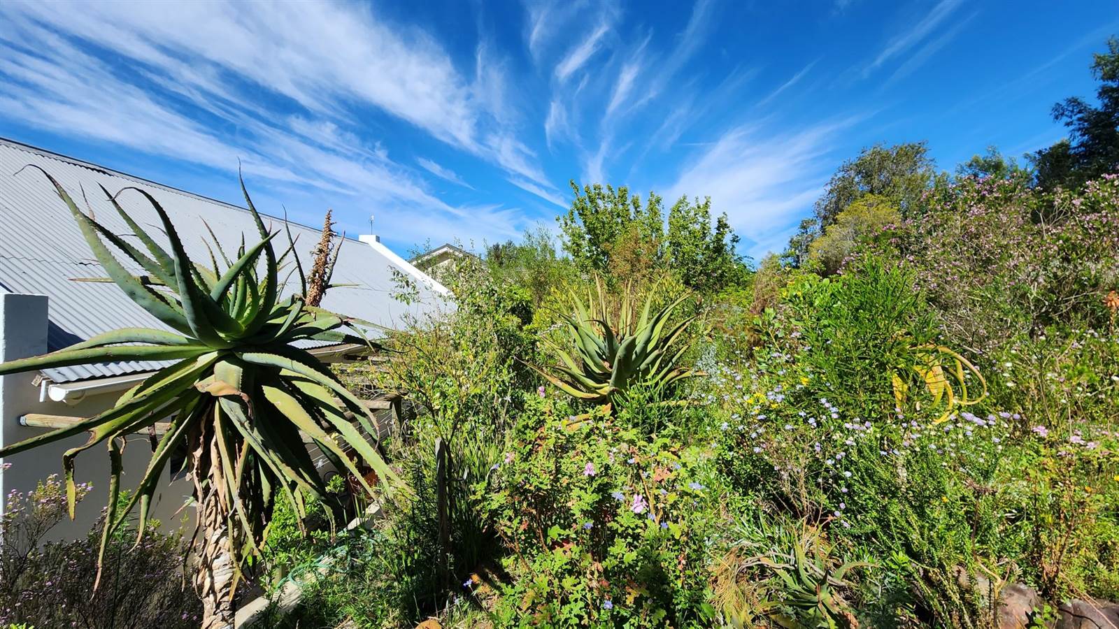 3 Bed House in Greyton photo number 25