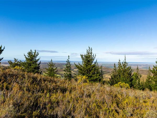 22 ha Land available in Riversdale