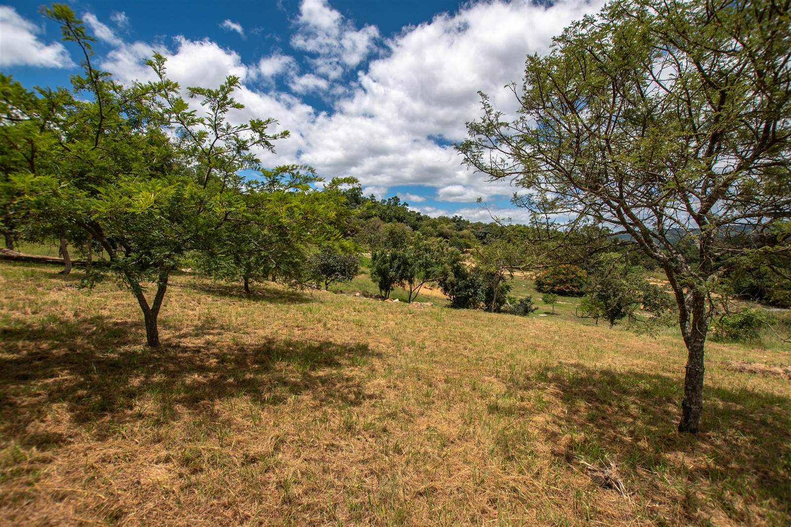 908 m² Land available in The Rest Nature Estate photo number 4