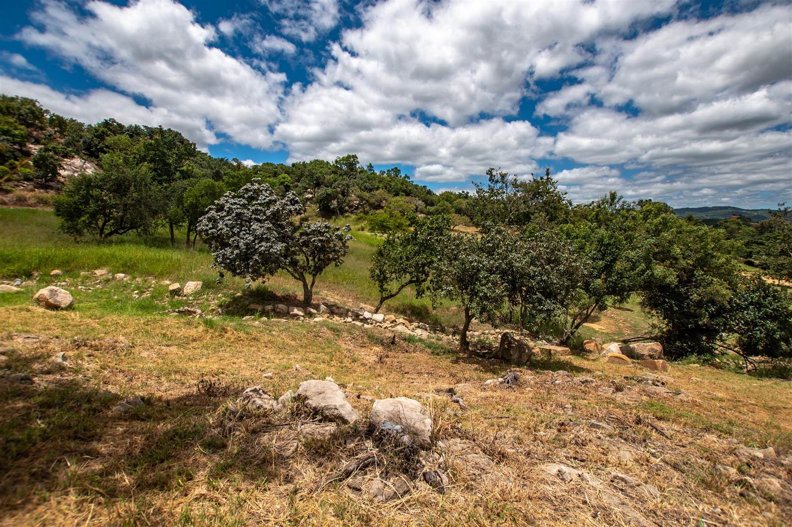 908 m² Land available in The Rest Nature Estate photo number 7