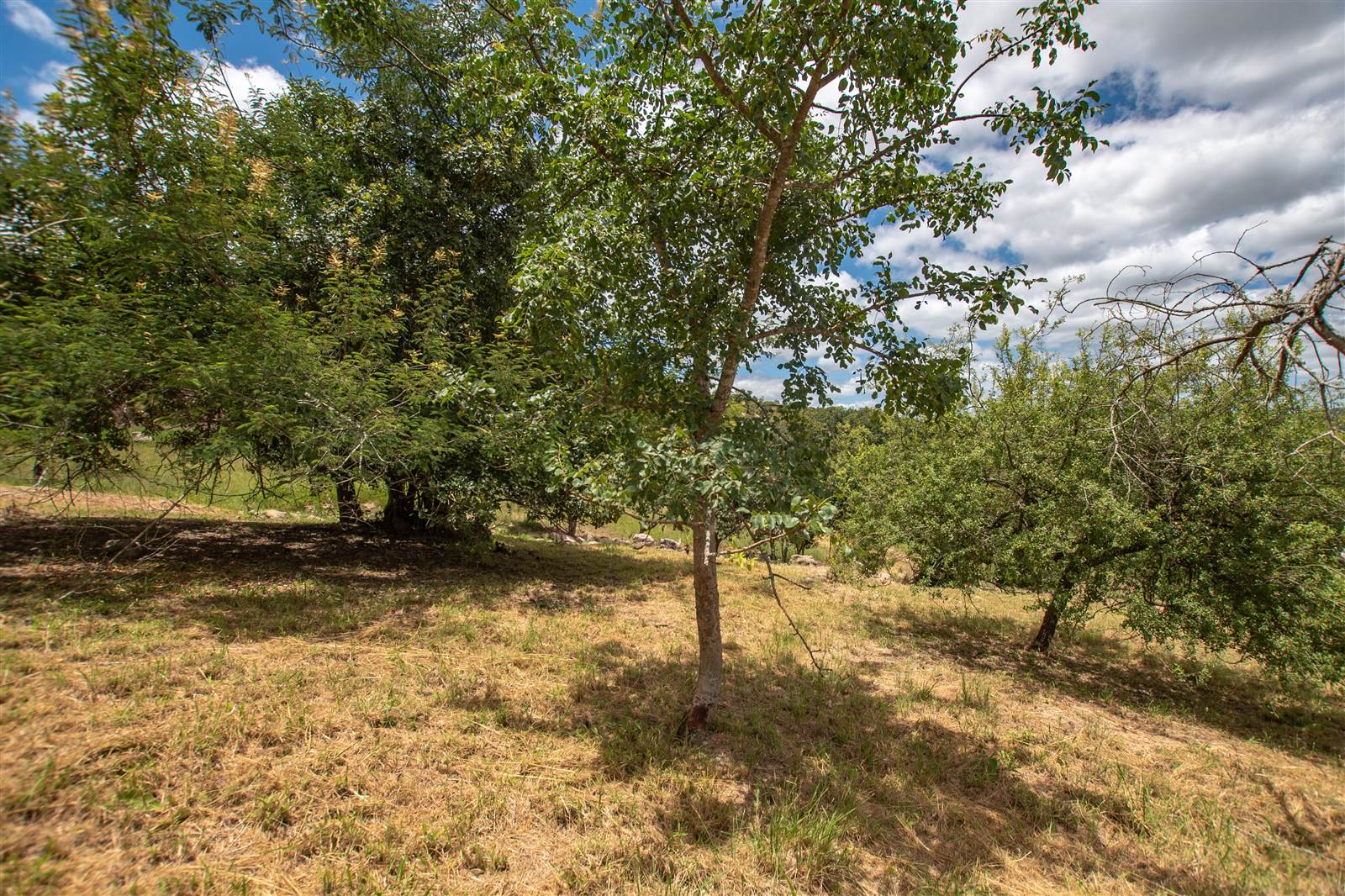 908 m² Land available in The Rest Nature Estate photo number 6